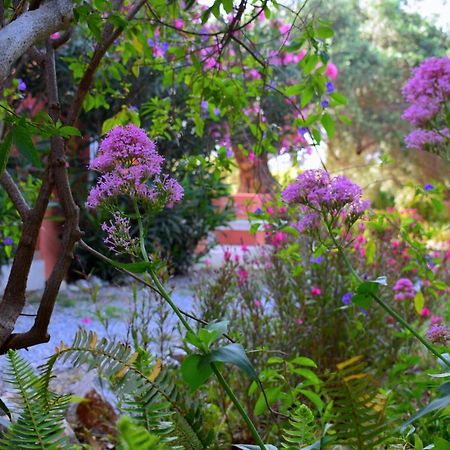 Victoria Daire Plakias Dış mekan fotoğraf